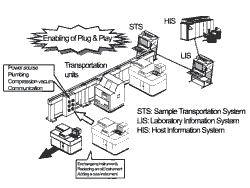 Figure 3. Effects of standardization
