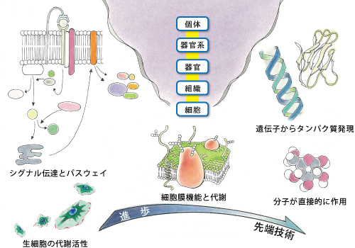 臨床検査：対象領域は広範囲でも限定的