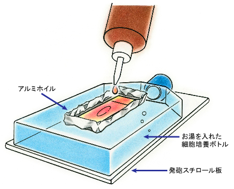 抗酸染色の簡易応急保温具