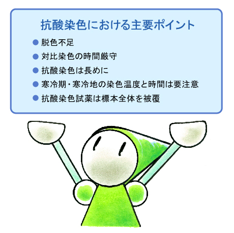 抗酸染色での留意点