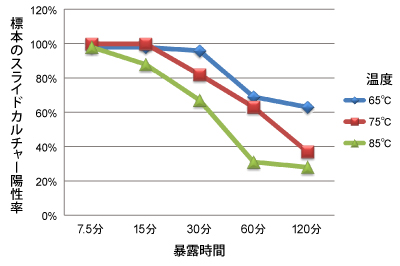 喀痰標本(49例)の温度別暴露時間による結核菌生存率