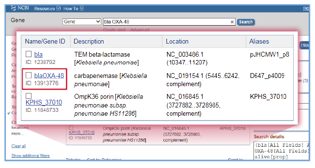 NCBI Gene から｢bla OXA-48｣を検索