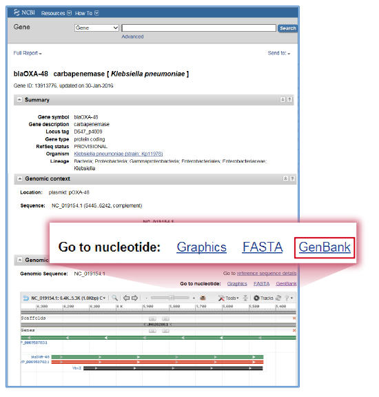 NCBI Gene の｢bla OXA-48 ID:13913776｣を開きGenBankをクリック