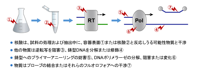 サンプル調製およびPCR中のポリメラーゼ連鎖反応（PCR）阻害物のアタックポイントの概略