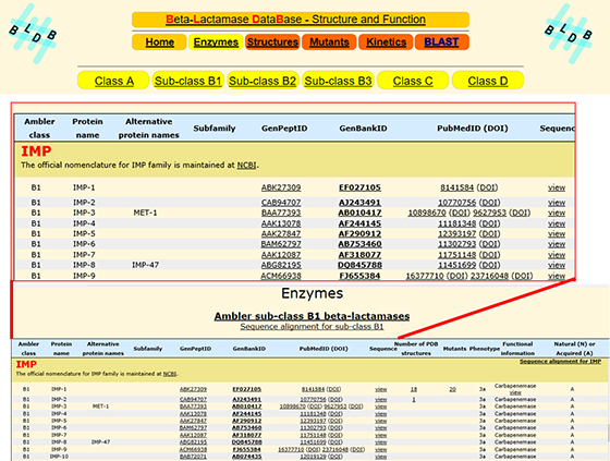 Beta-Lactamase DataBase ：BLDB/Enzymes/IMPの画面