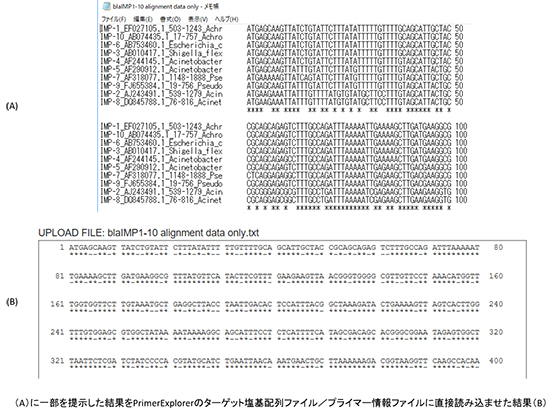 Multiple  DNA sequence alignment結果（A）をPrimerExplorerに直接読み込ませた結果（B）