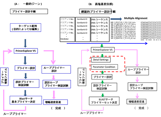 LAMP法における一般的遺伝子と高塩基変異群の網羅的プライマー設計での手順