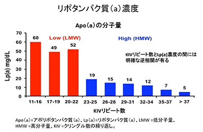 リポタンパク質（a）の濃度とアイソフォームのサイズとの関連