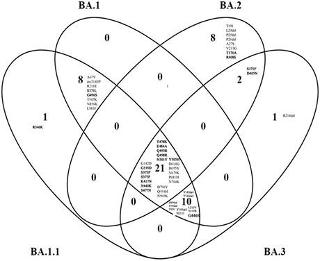 オミクロン（BA.1）とオミクロンサブバリアント（BA1.1、BA.2、BA.3）のスパイクタンパク質変異を4方向ベン図で比較した。受容体結合ドメイン（319-541残基）は太字で表示。Delは欠失、insは挿入を表す。