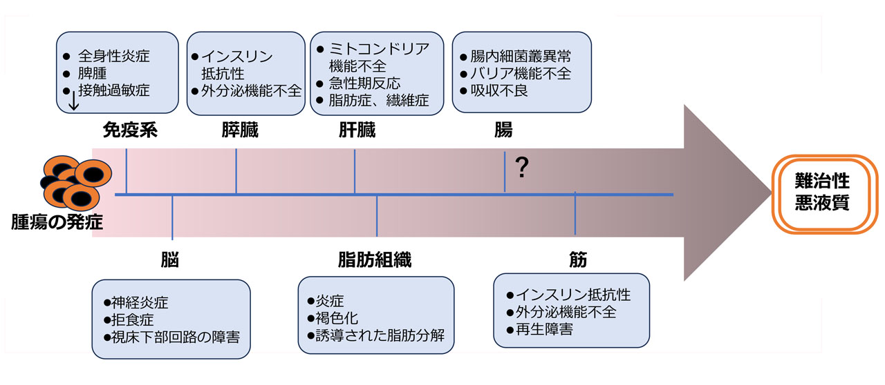 ncRNA