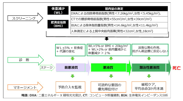 Fearonらによる癌悪液質のアプローチ