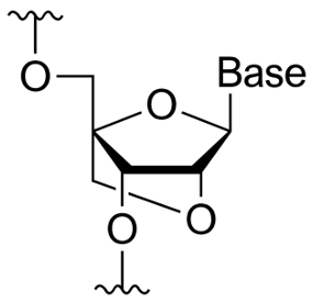 図１　LNAの構造